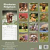 Rhodesian Ridgeback Calendar